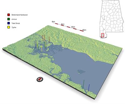 Connecting coastal wetland microbial community characteristics with soil physicochemical properties across an estuarine salinity and vegetation gradient in Mobile Bay, AL, USA